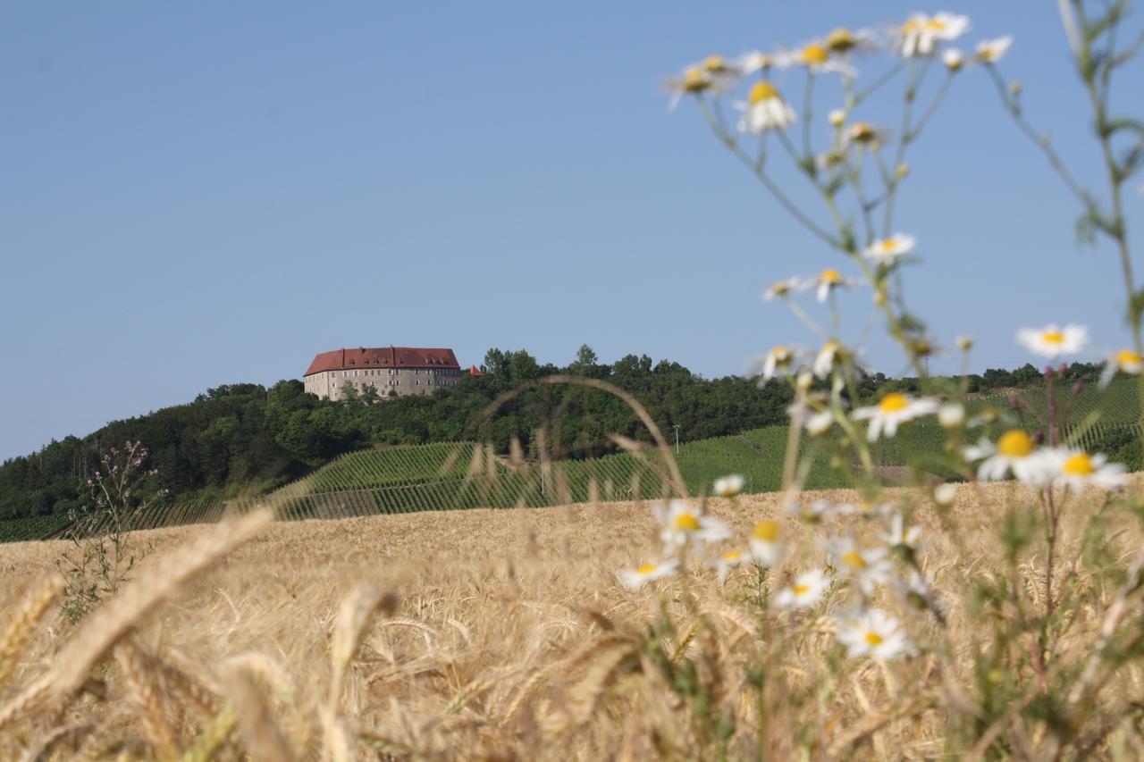 Schwarzer Adler - Hotel Garni Ipsheim Zewnętrze zdjęcie